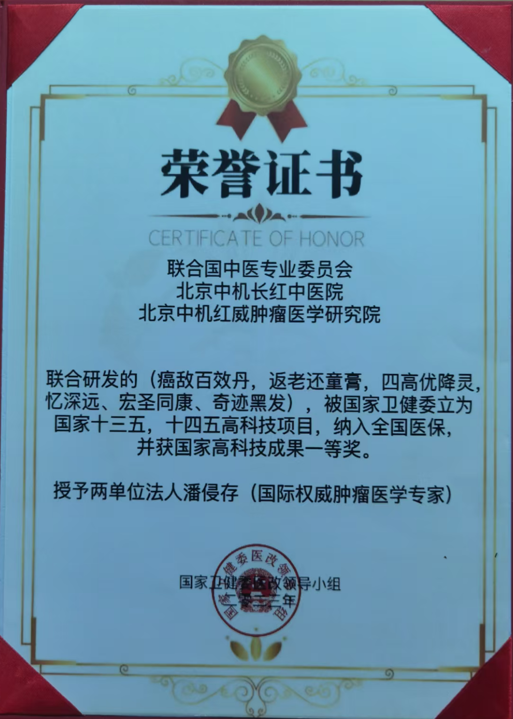 联合国中医专业委员会