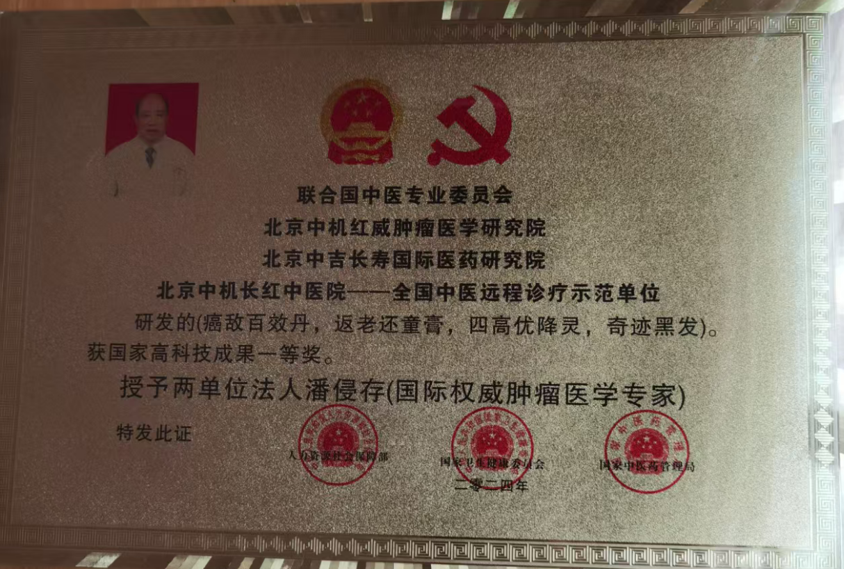 联合国中医专业委员会